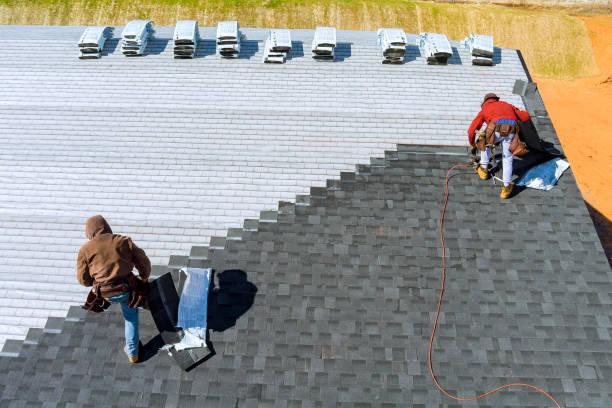 Best Roof Restoration Services  in Loughman, FL