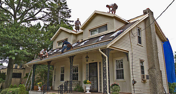 Best Gutter Installation and Roofing  in Loughman, FL